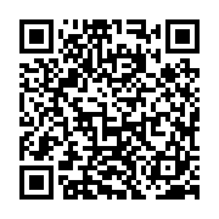 QR code for POJ223