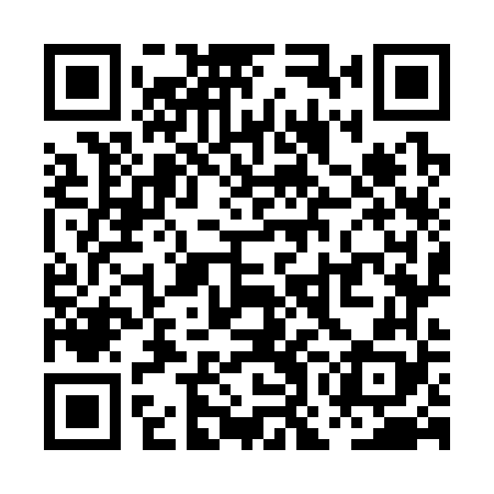 QR code for POO368