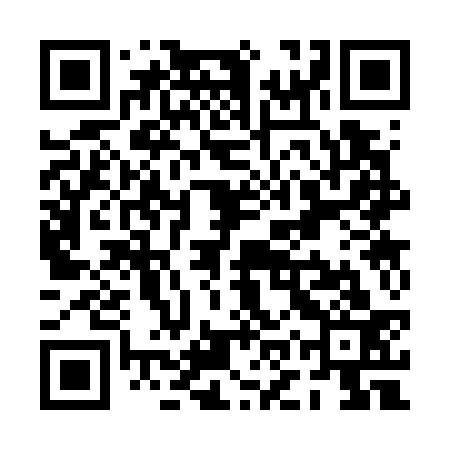 QR code for POS733