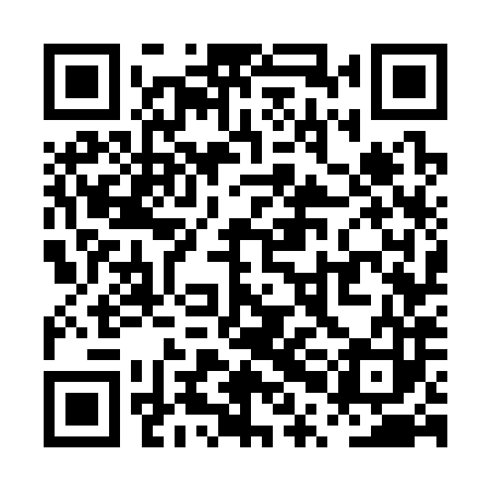 QR code for PPG383