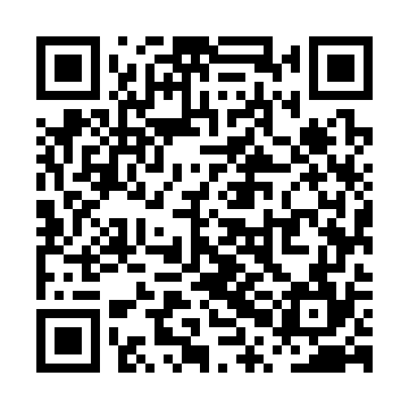 QR code for PPM374