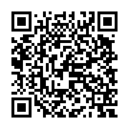 QR code for PPT461