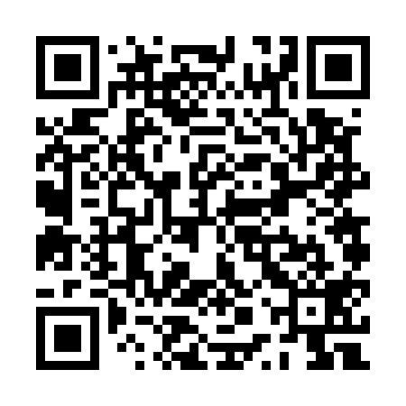 QR code for PPV519