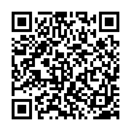 QR code for PTN393
