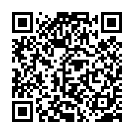 QR code for PUG491