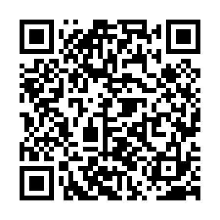 QR code for PUN033