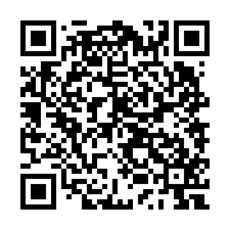 QR code for PUN617