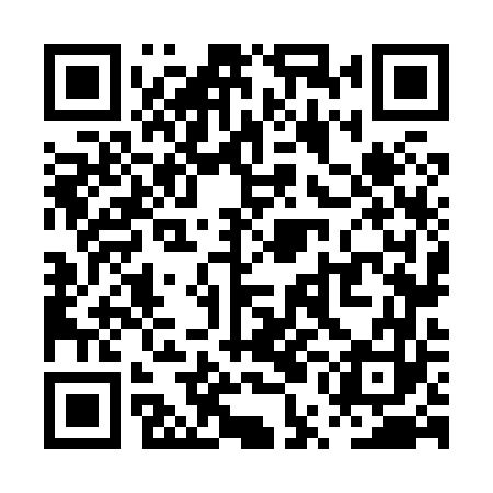 QR code for PUN863