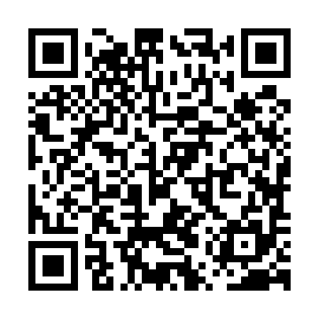 QR code for PUZ595