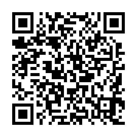 QR code for PYY291