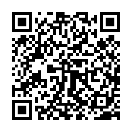 QR code for PZP411