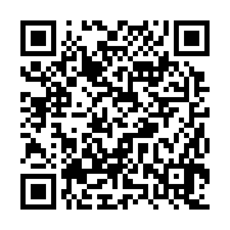 QR code for PZR386