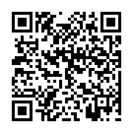 QR code for PZV386