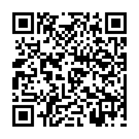 QR code for PZV389