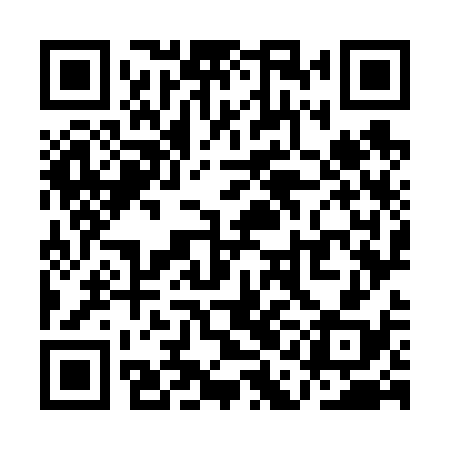 QR code for QAO638