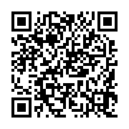 QR code for QCY295