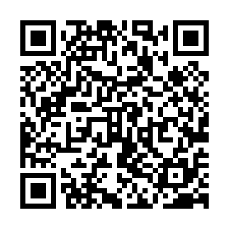 QR code for QDL015