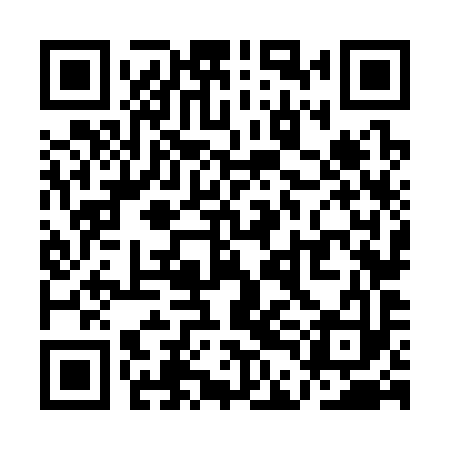 QR code for QDN393
