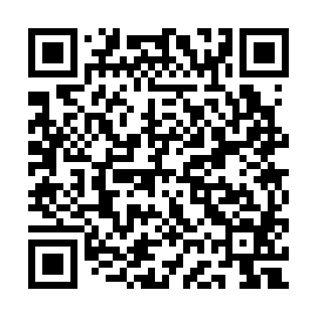 QR code for QGS384