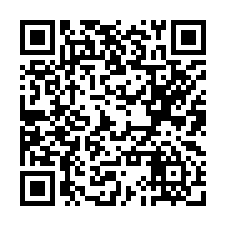 QR code for QIZ995