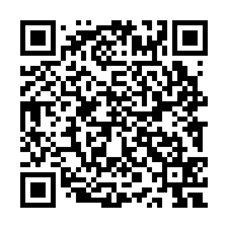 QR code for QPL335
