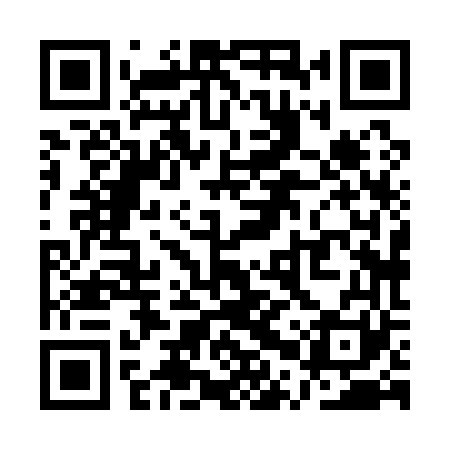 QR code for QPX161