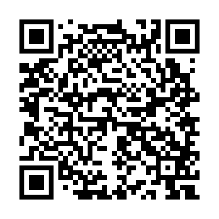 QR code for QRJ383