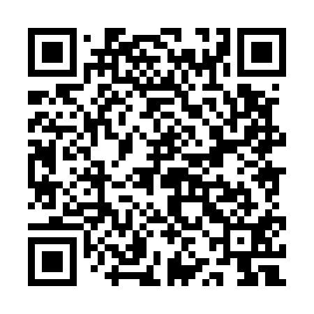 QR code for QZH511