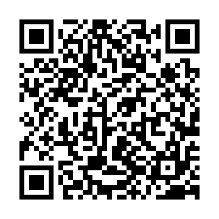 QR code for QZL317