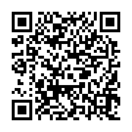 QR code for QZQ316