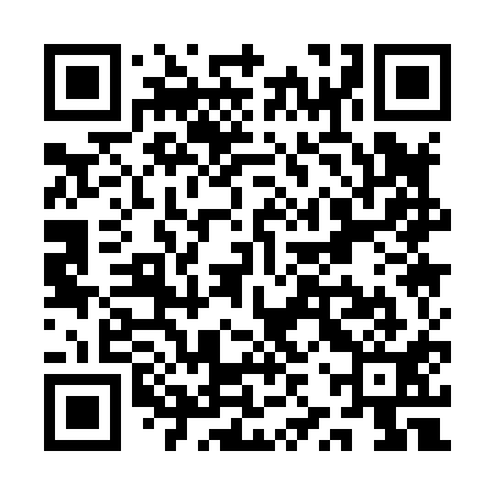 QR code for QZQ811