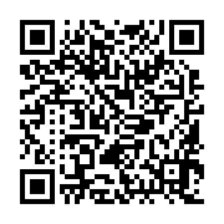 QR code for RAM294