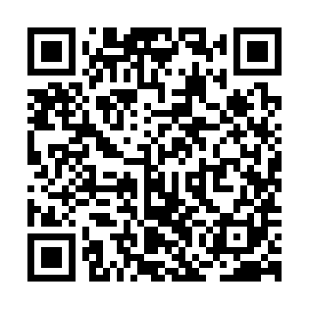QR code for RGI381