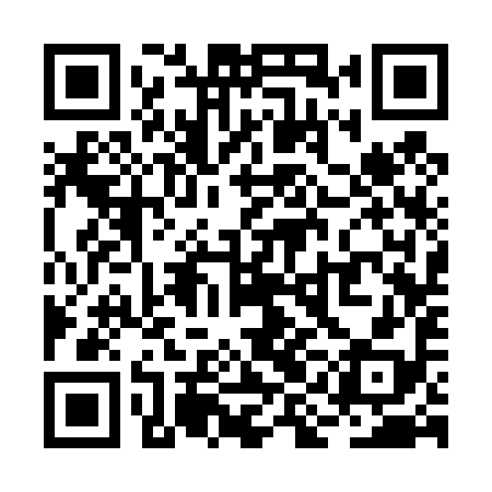 QR code for RIC498