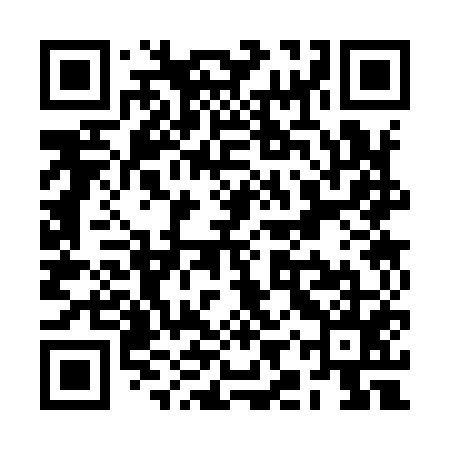 QR code for RIS955