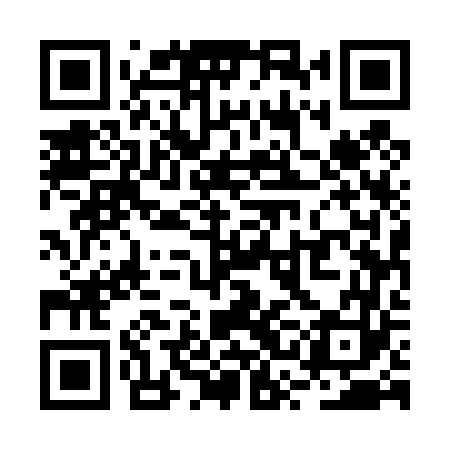 QR code for RSE463