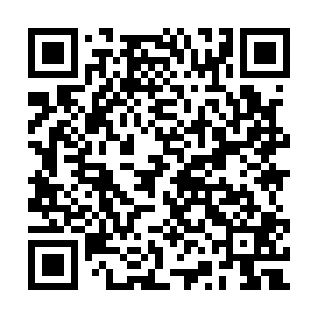 QR code for RVI101