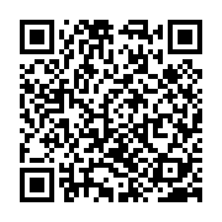 QR code for RYG029
