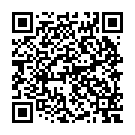 QR code for RZI293