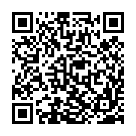 QR code for RZQ496