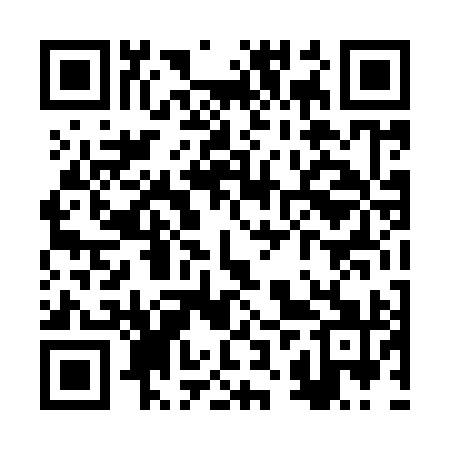 QR code for RZT991