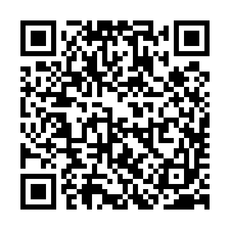 QR code for SAR593