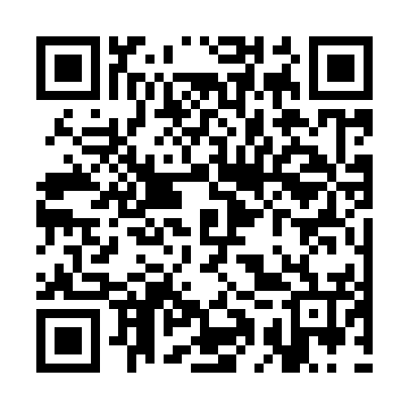 QR code for SAS956