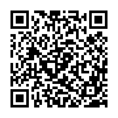 QR code for SDX466