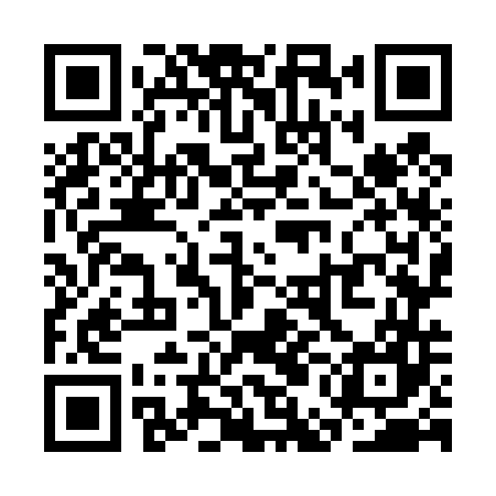 QR code for SEO447