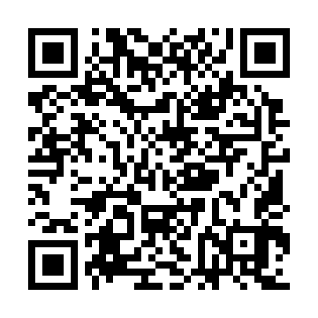 QR code for SFM343