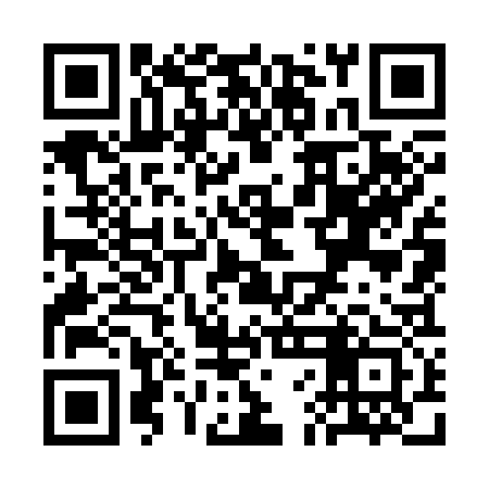 QR code for SFO333