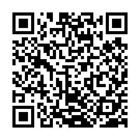 QR code for SIG608