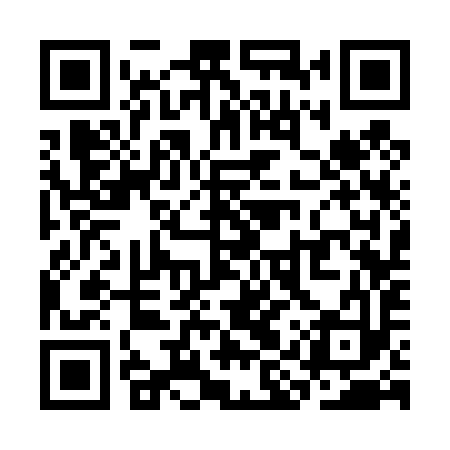 QR code for SIS493