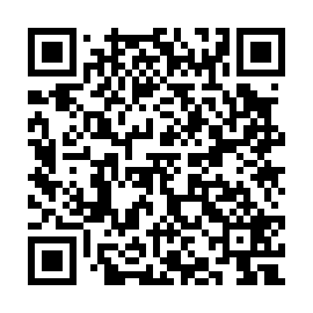 QR code for SJK029